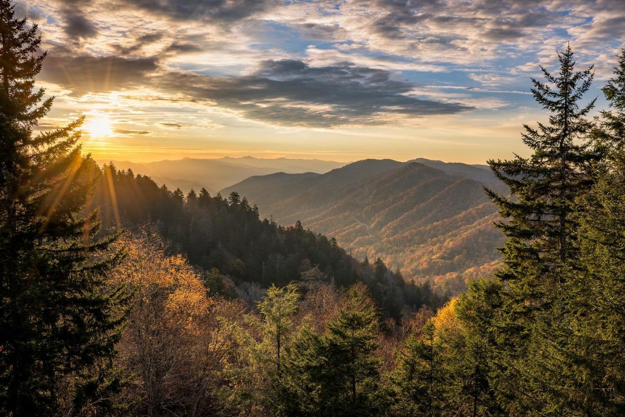 Whispering Pines 113 Daire Pigeon Forge Dış mekan fotoğraf