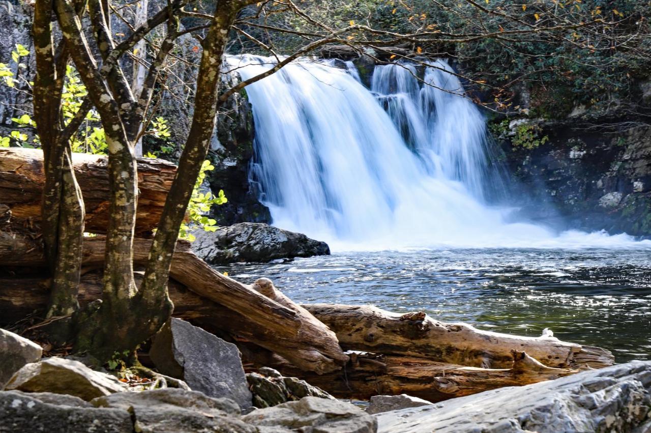 Whispering Pines 113 Daire Pigeon Forge Dış mekan fotoğraf